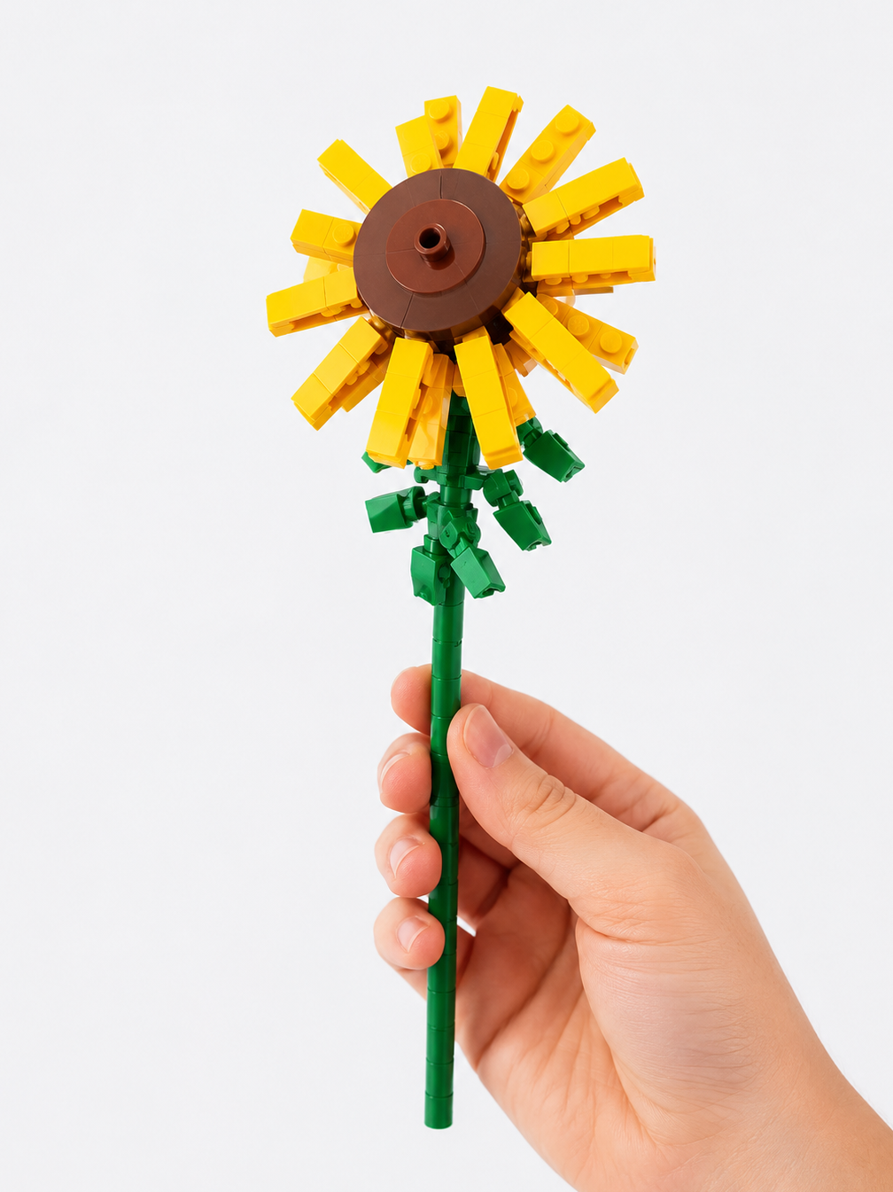 Tournesol