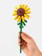 Tournesol